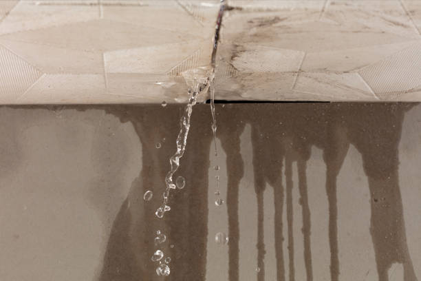 Professional Sewage Cleanup technician working in Lena, IL